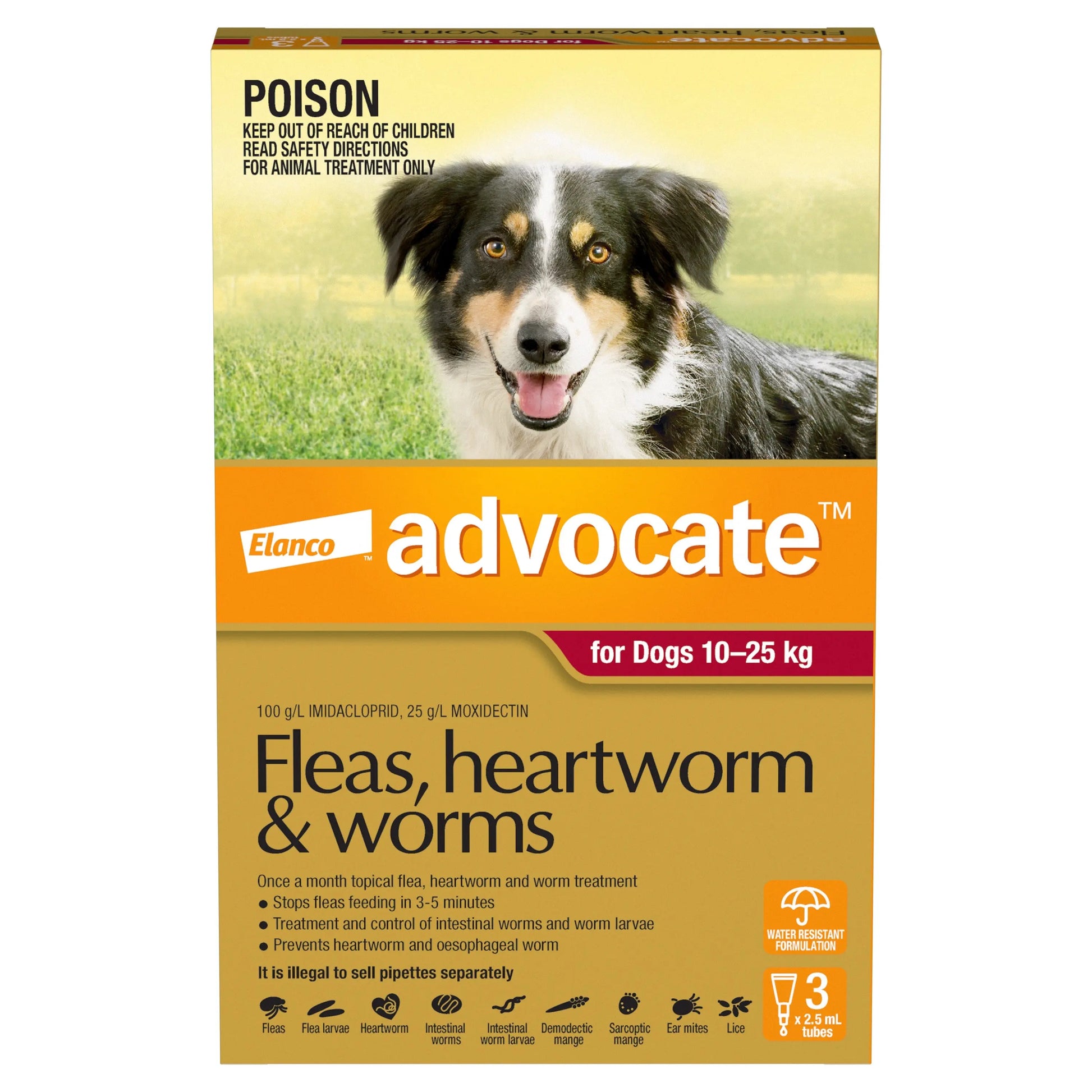 Flea & Worming Spot-On Treatment