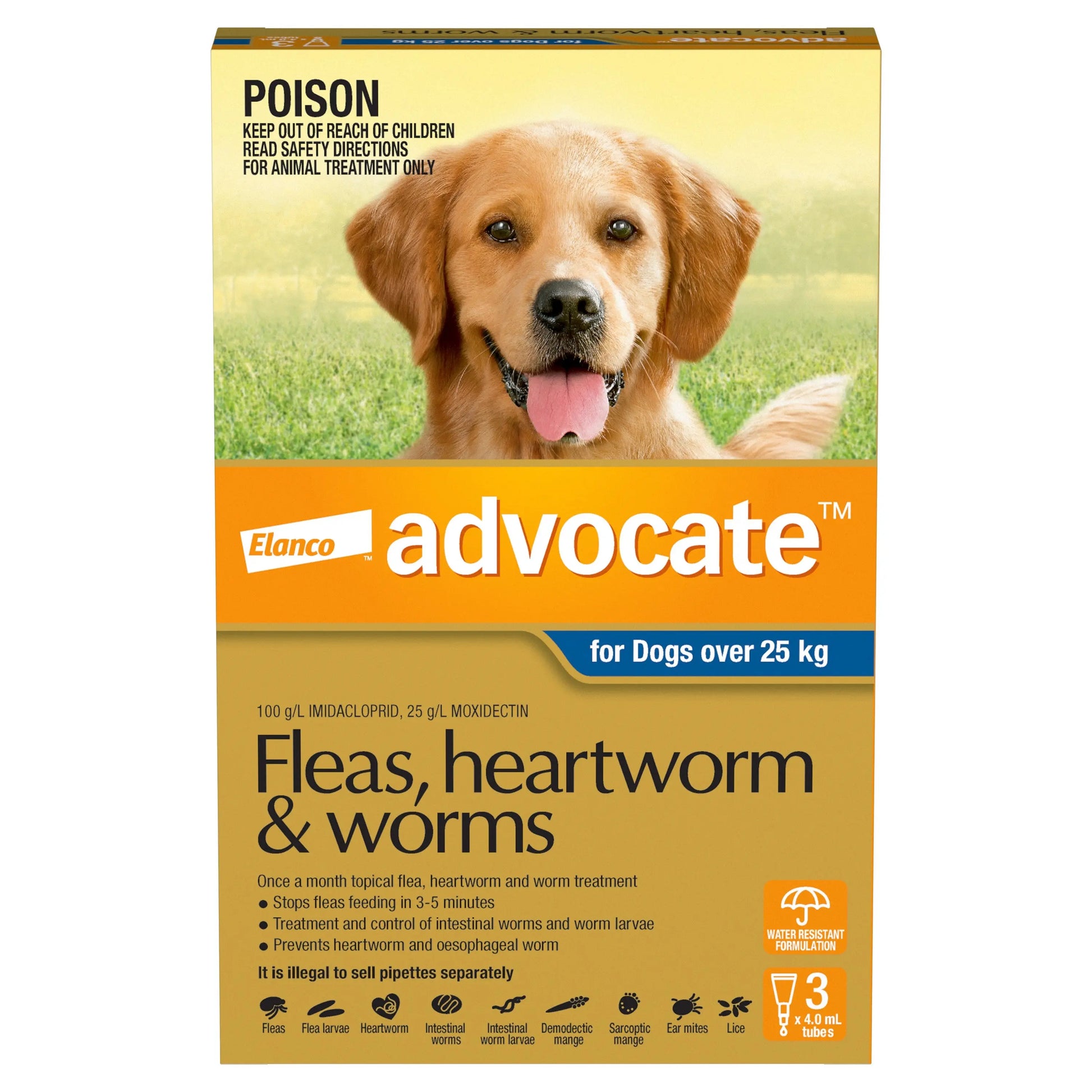 Flea & Worming Spot-On Treatment