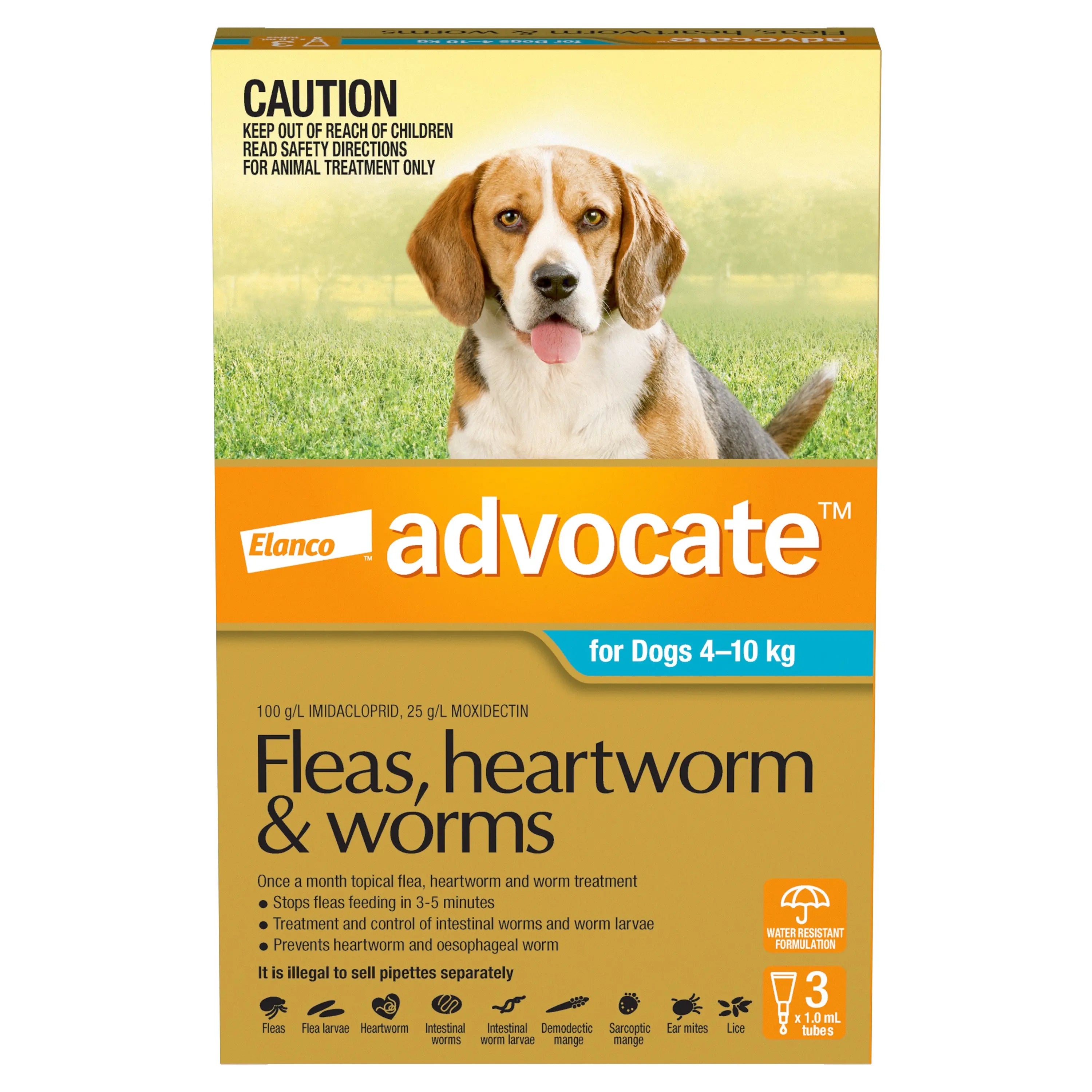 Flea & Worming Spot-On Treatment