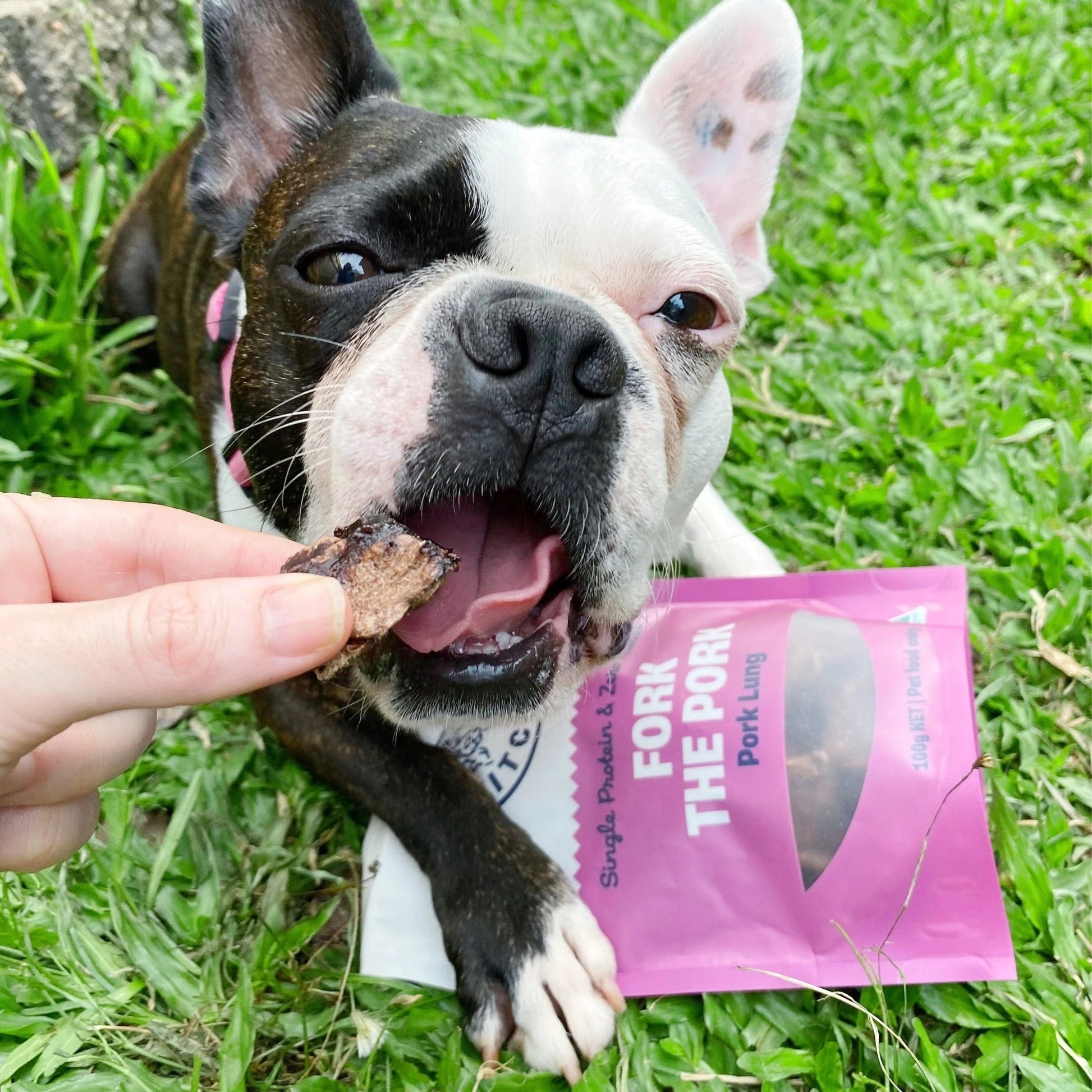 Fork The Pork - Pork Lung Treats