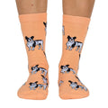 Dog Breed Socks - French Bulldog