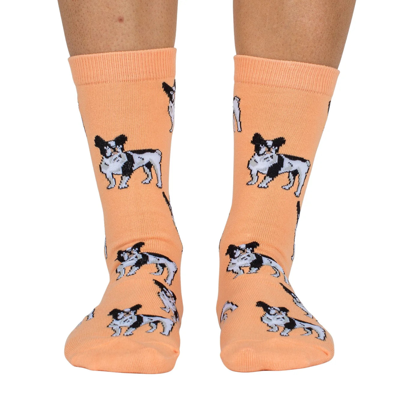 Dog Breed Socks - French Bulldog