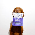 Dog holding a purple 'GO BONKERS' jerky package