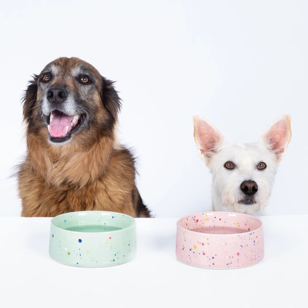 New Party Bowl Set - Green