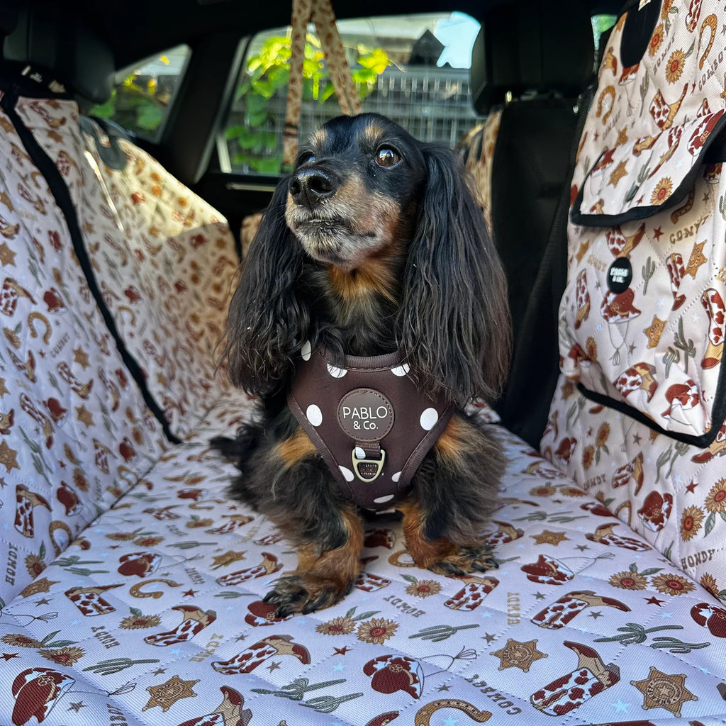 Deluxe Hard Base Hammock Car Seat Cover - Howdy