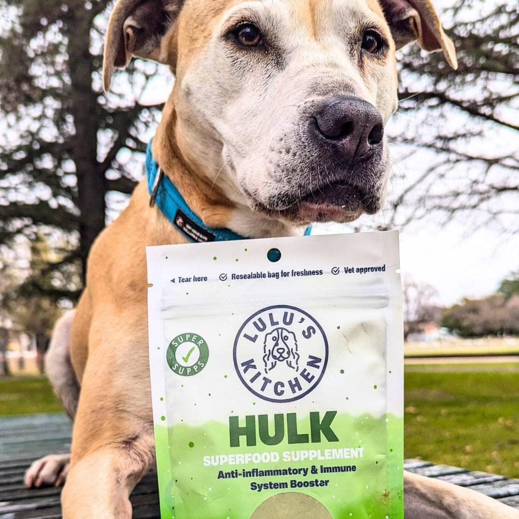 Hulk - Anti-inflammatory & Immune system Booster Supplement
