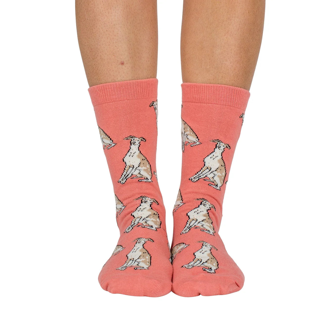 Dog Breed Socks - Iggy