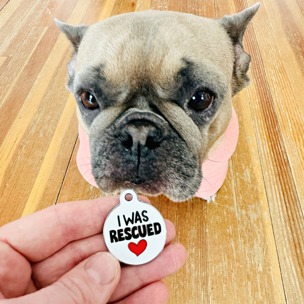 I Was Rescued - QR Code ID Tag