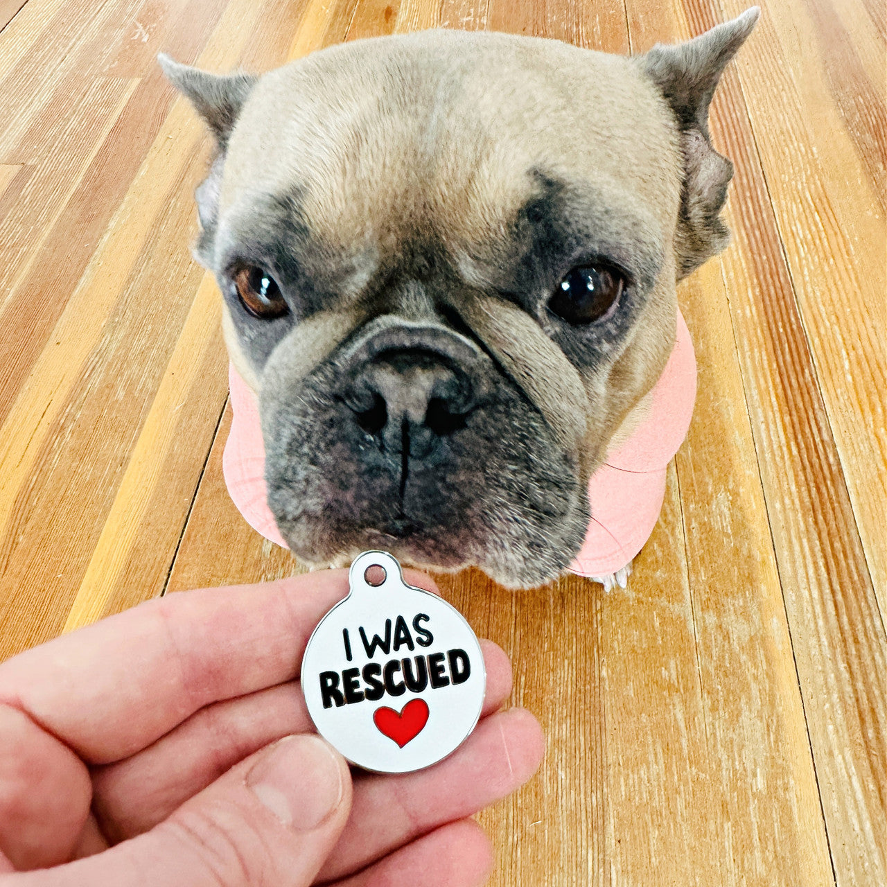 I Was Rescued - QR Code ID Tag