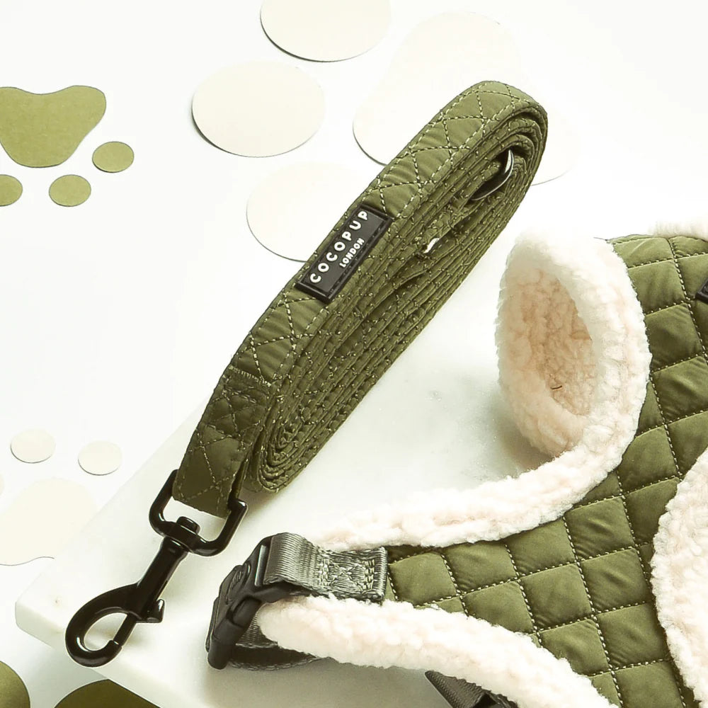 Green quilted dog leash and collar set with cocopup logo