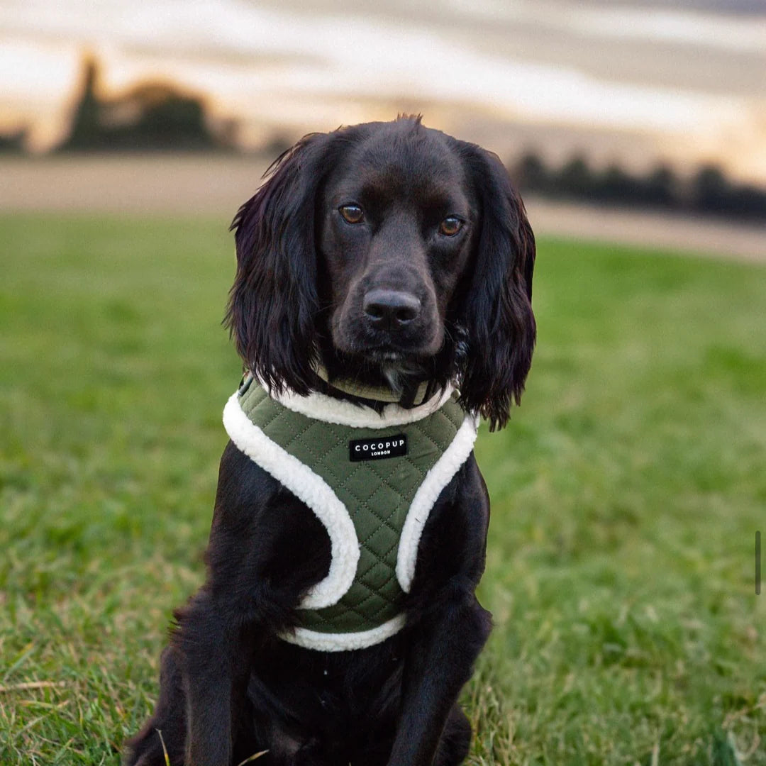 Kahki Quilted Adjustable Neck Harness