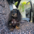 Deluxe Single Car Seat Cover - Leopard