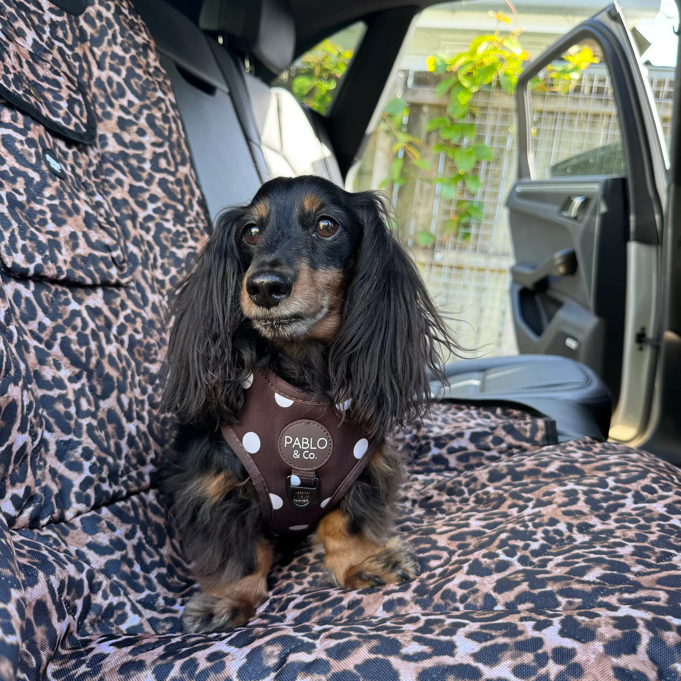 Deluxe Single Car Seat Cover - Leopard