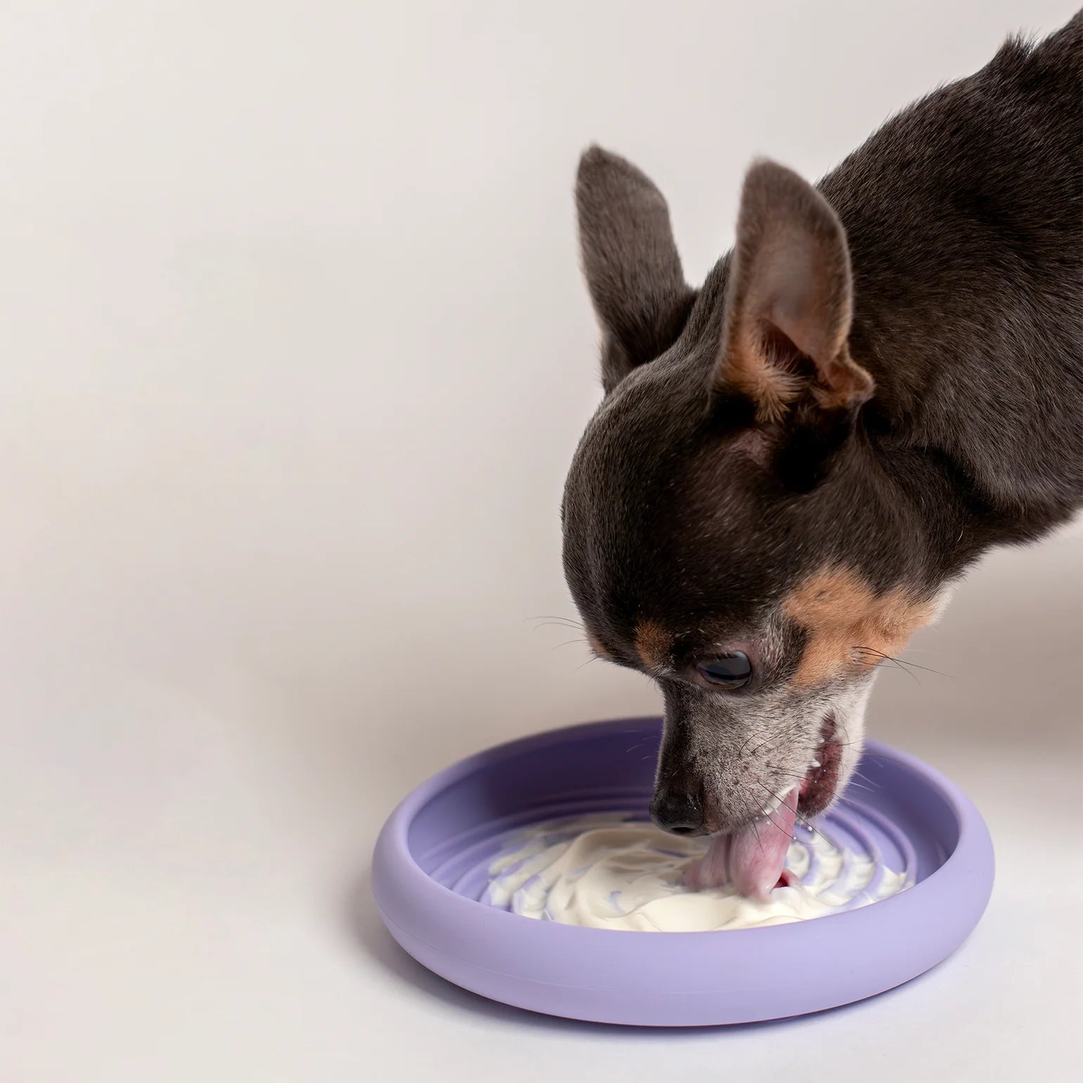 Lick Dish Slow Feeder - Peri