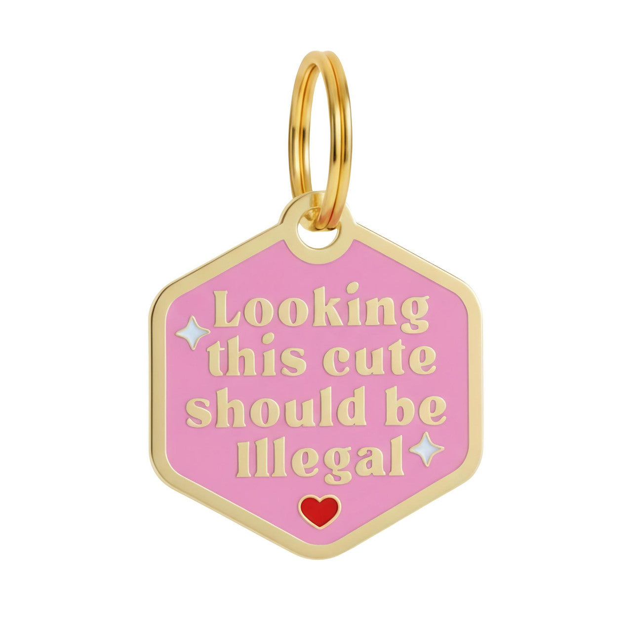 Looking This Cute - QR Code ID Tag