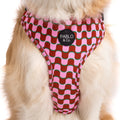 Dog wearing a pink and red patterned harness with 'Pablo & Co.' label on a white background