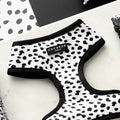 Black and white spotted dog harness with 'CocoPup London' label 