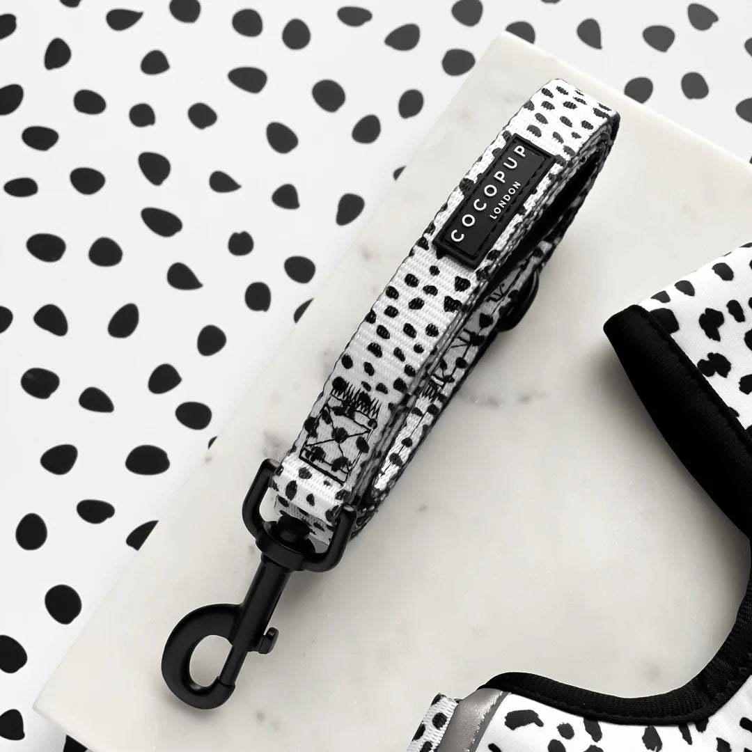 Black and white spots patterned dog leash