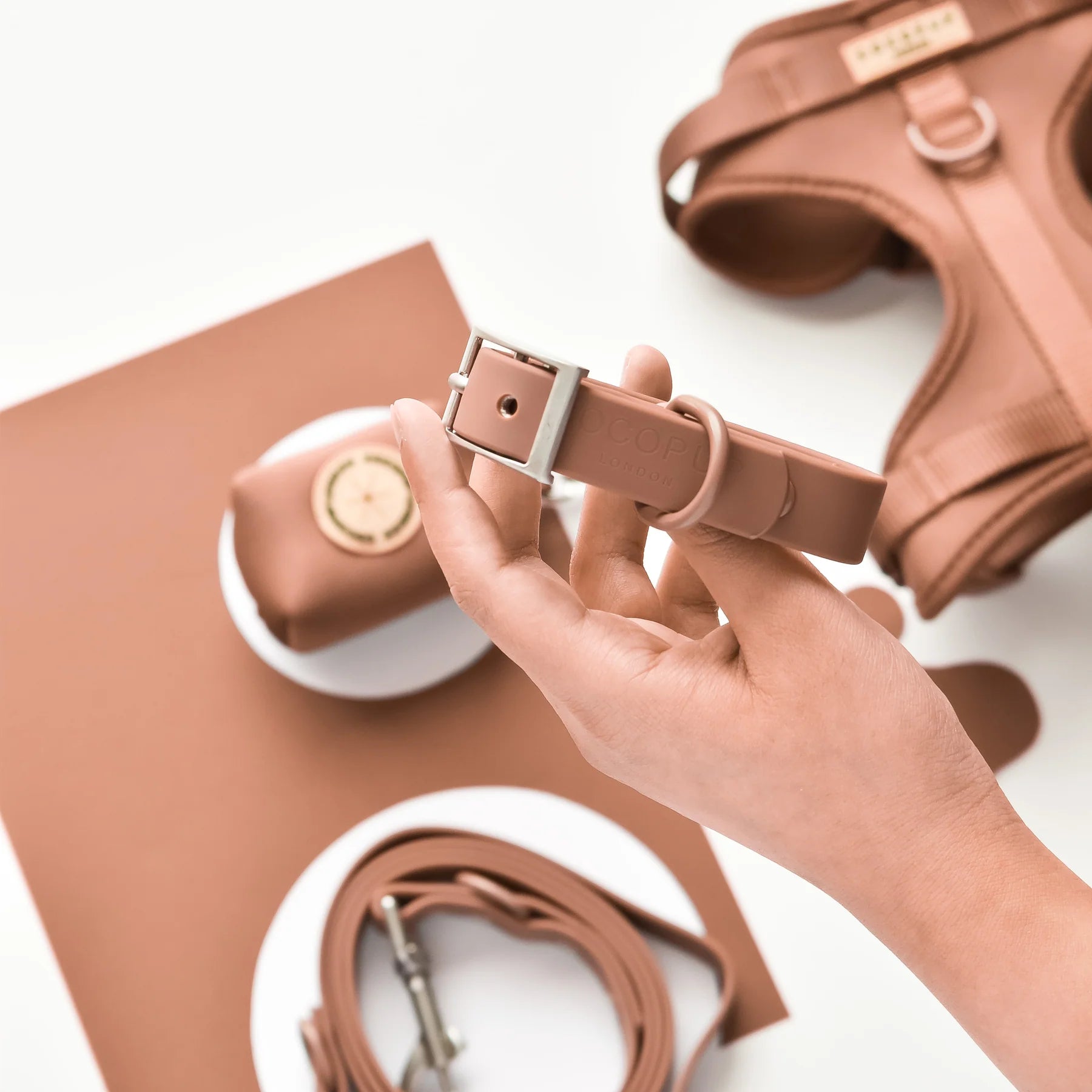 Brown silicone dog collar with silver buckle