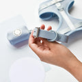Blue silicone dog collar with silver buckle