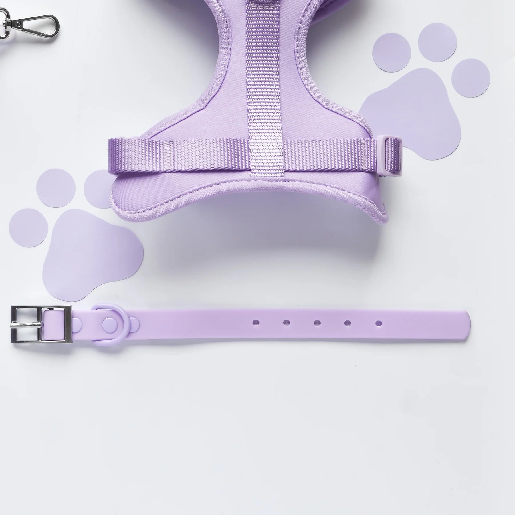 NAKD Dog Collar - Parma Violets