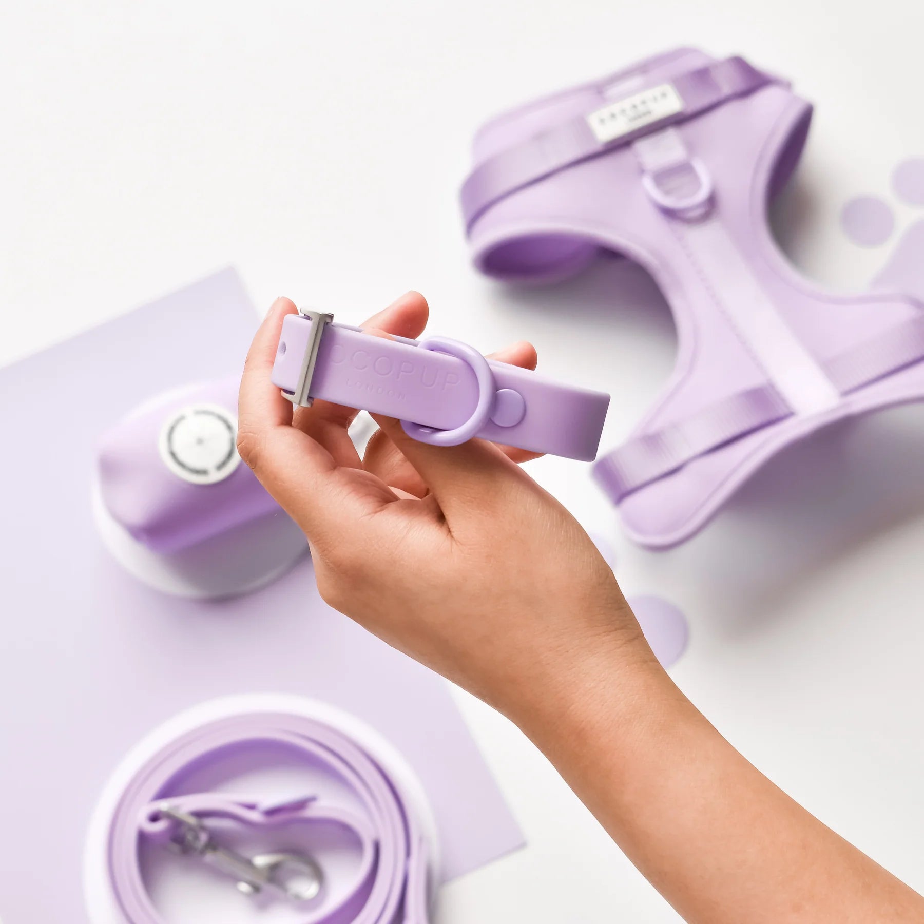 Hand holding a purple dog collar with pet accessories