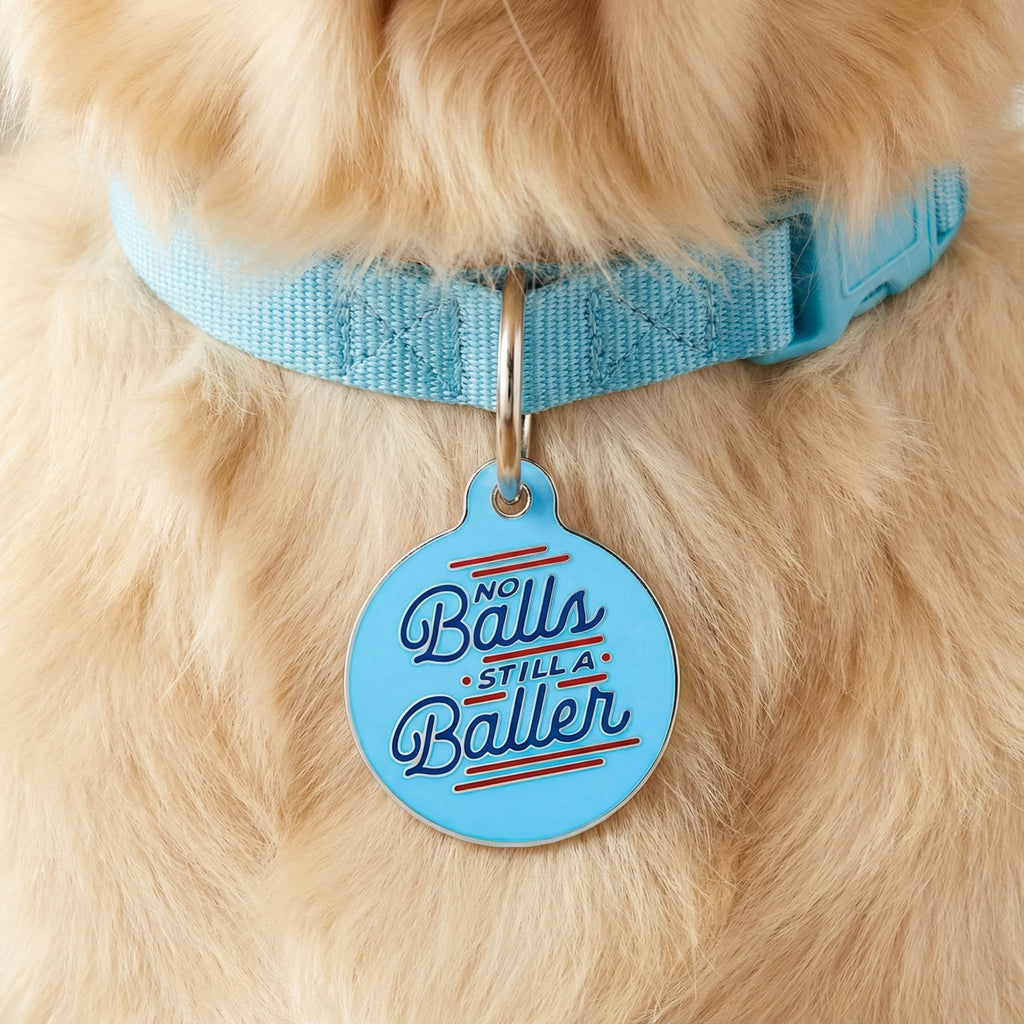 No Balls Still a Baller - QR Code ID Tag