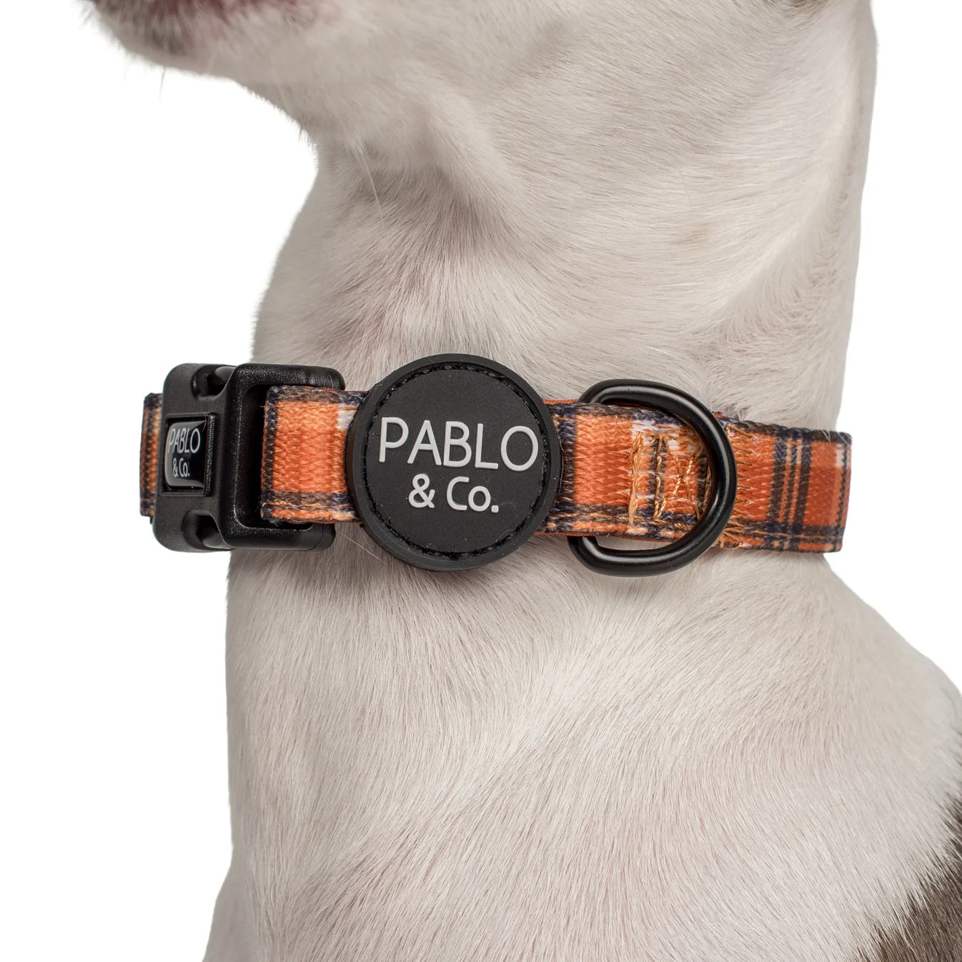 Orange plaid dog collar with 'Pablo & Co.' branding on a white background