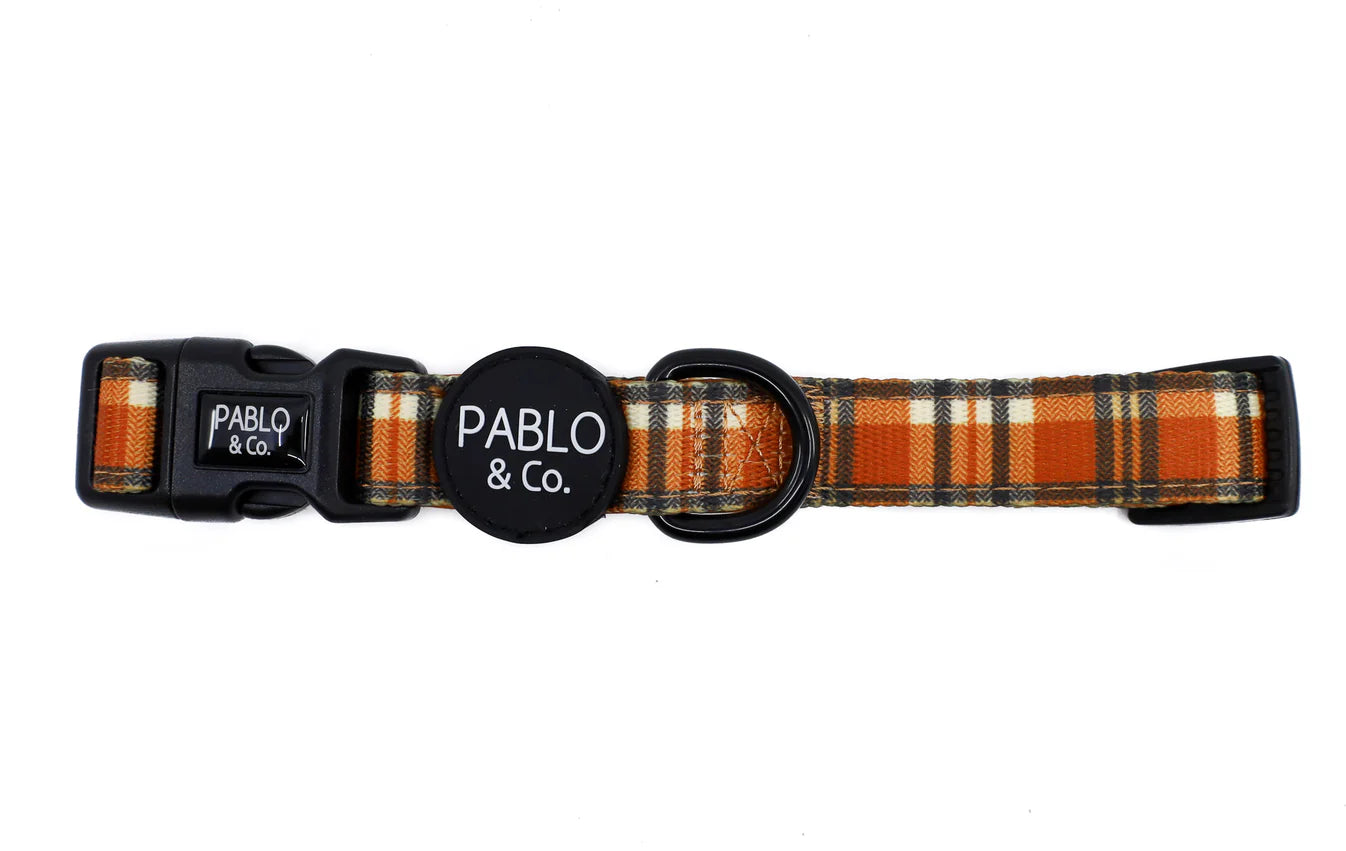 Dog collar with plaid pattern and 'Pablo & Co.' branding on a white background