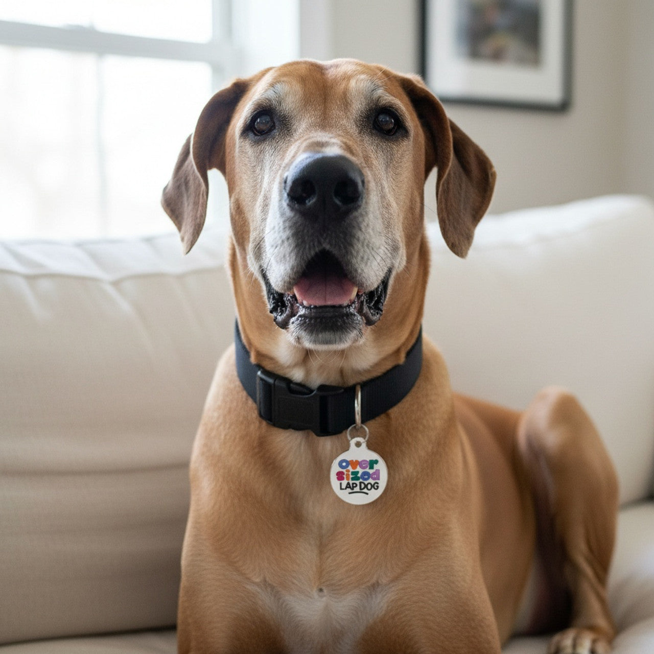 Oversized Lap Dog - QR Code ID Tag