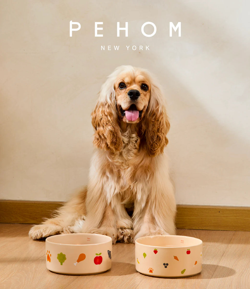Dog sitting between two ceramic dog bowls with 'PEHOM New York' branding.