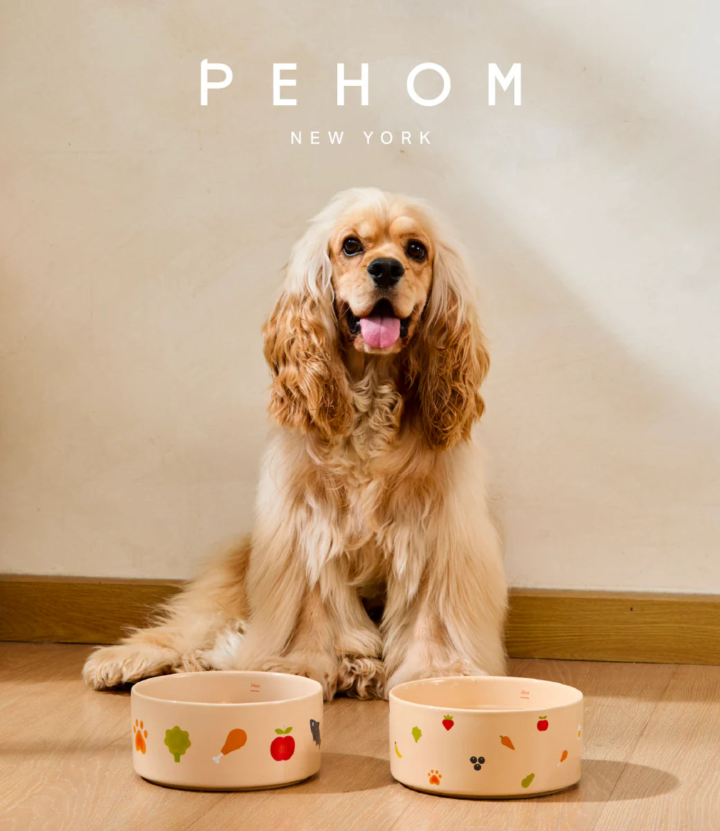 Dog sitting between two ceramic dog bowls with 'PEHOM New York' branding.