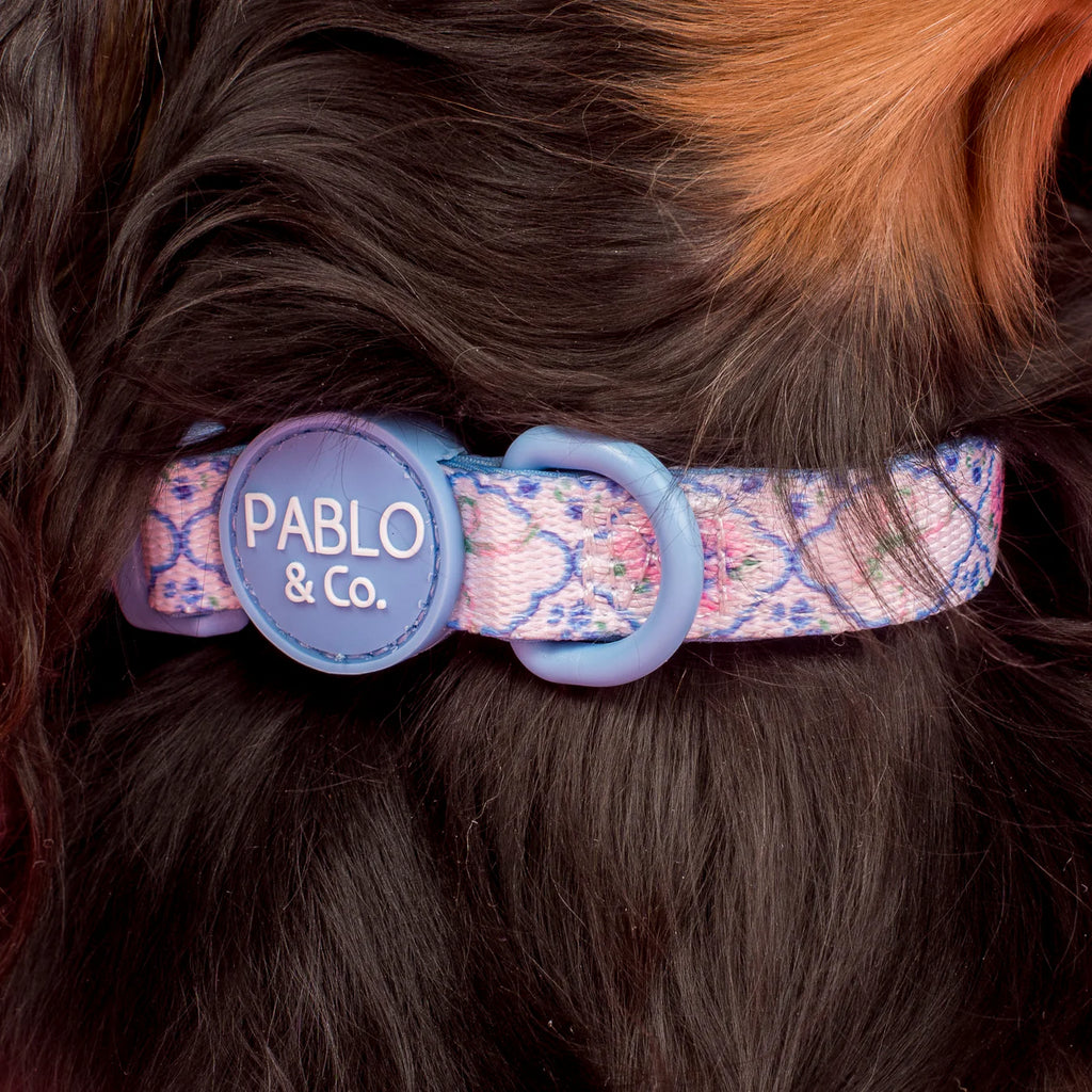 Petal Dog Collar