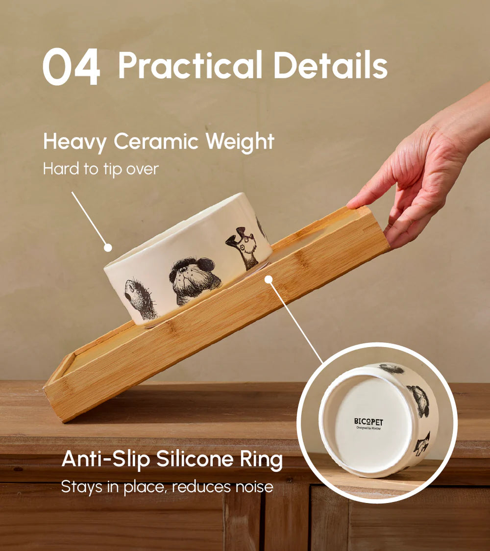 Ceramic Dog bowl with on a wooden surface, featuring text about its practical details.
