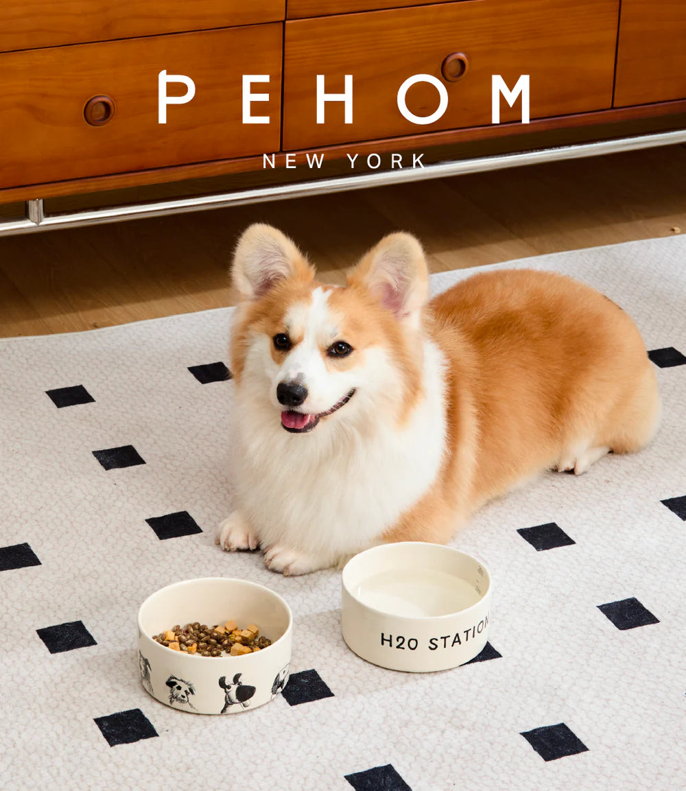 Corgi dog sitting on a checkered floor with two ceramic bowls, one labeled 'H2O Station' and dog illustrations on the other.