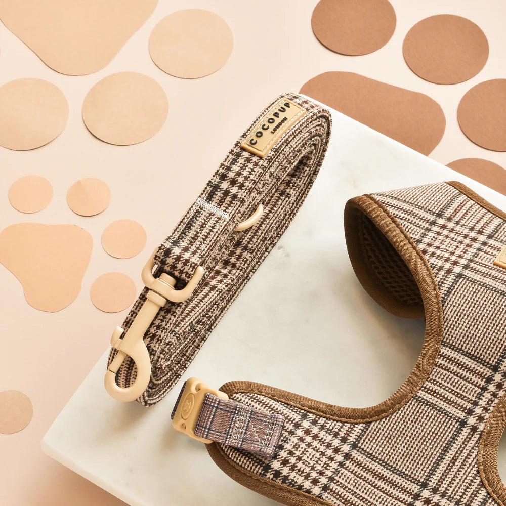 Plaid-patterned dog harness and leash