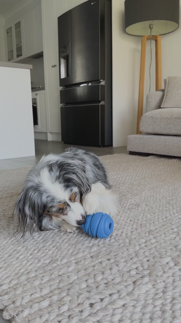 Enrichment Hercules Toy - Forest