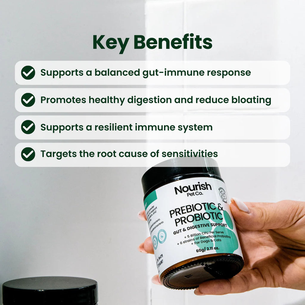 Pre & Probiotic Gut & Digestive Support - 60g