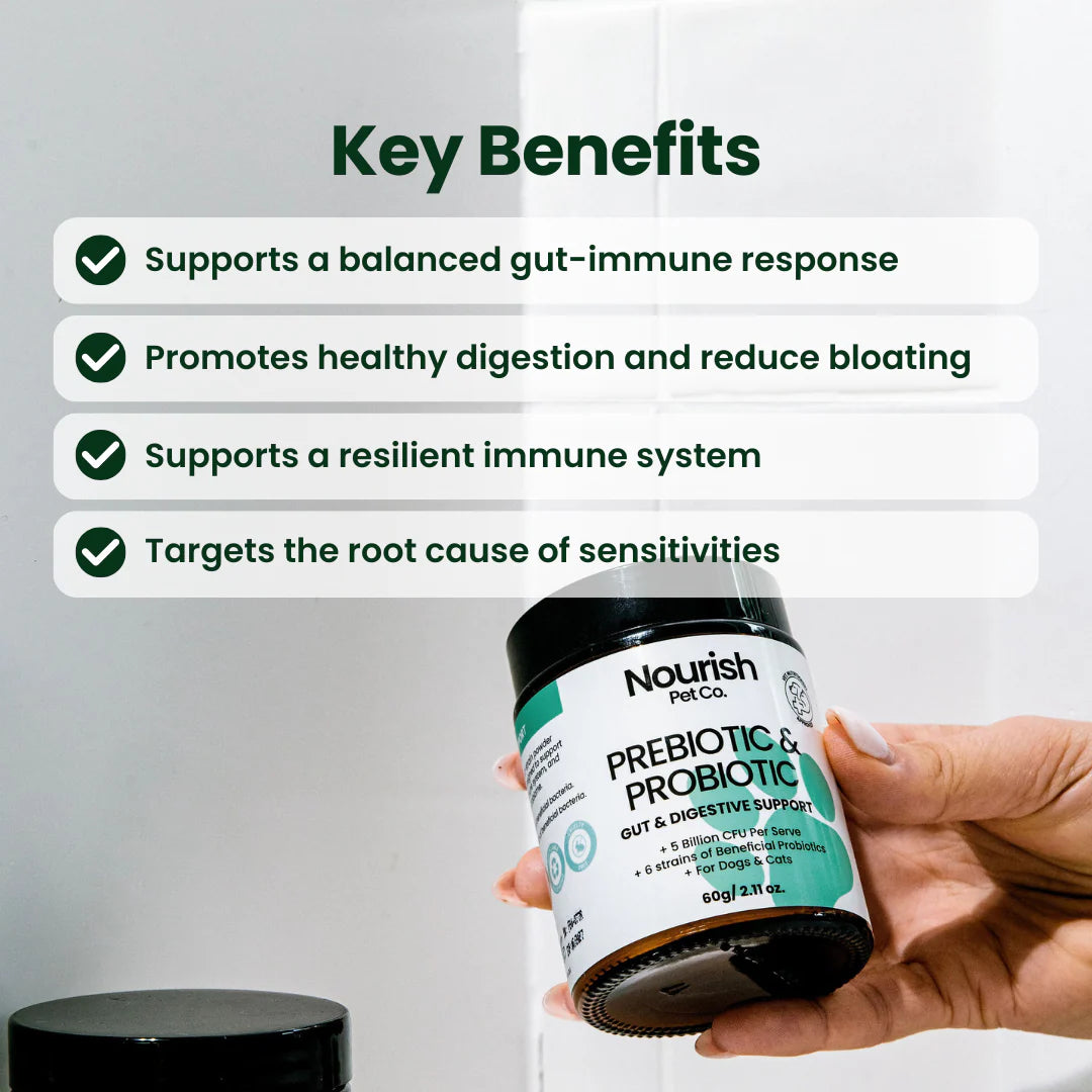 Hand holding a Nourish Prebiotic & Probiotic supplement bottle with key benefits listed above.