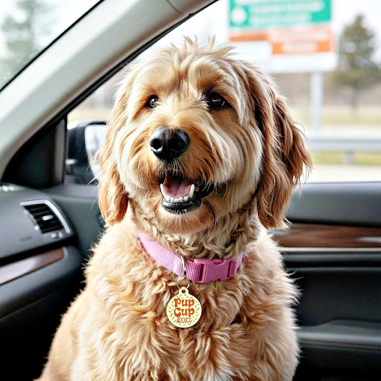 Pup Cup Addict - QR Code ID Tag