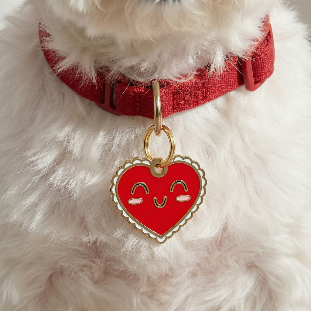 Red Heart Charm - QR Code ID Tag
