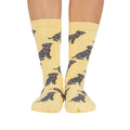 Dog Breed Socks - Staffy