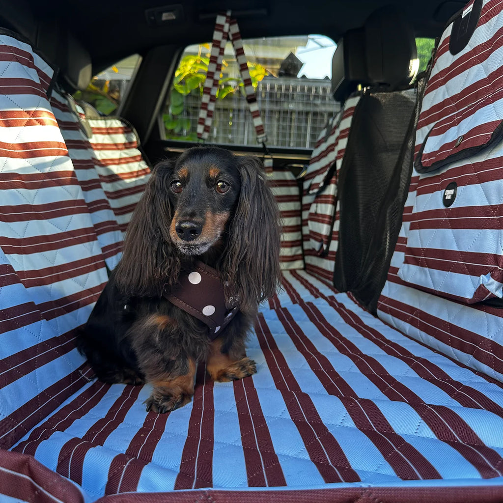 Deluxe Hard Base Hammock Car Seat Cover - Sunday Stripes