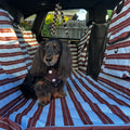 Deluxe Hard Base Hammock Car Seat Cover - Sunday Stripes