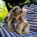 Deluxe Single Car Seat Cover - Sunday Stripes