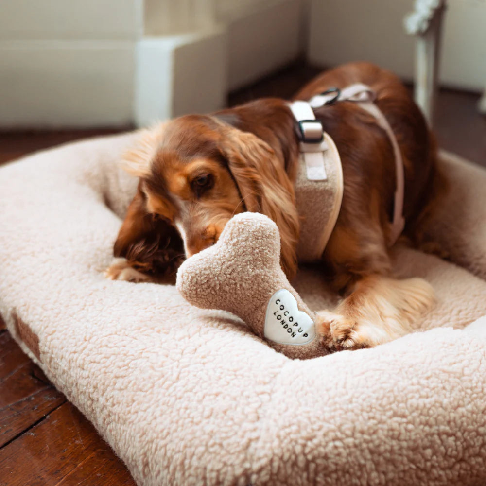 Teddy Rupert Bone Toy