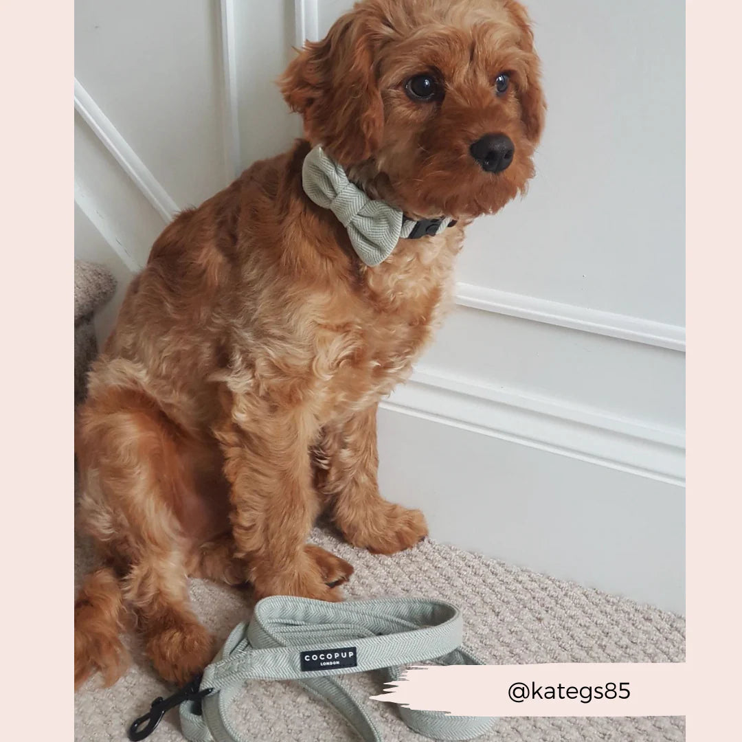 Tweed Lead - Sage