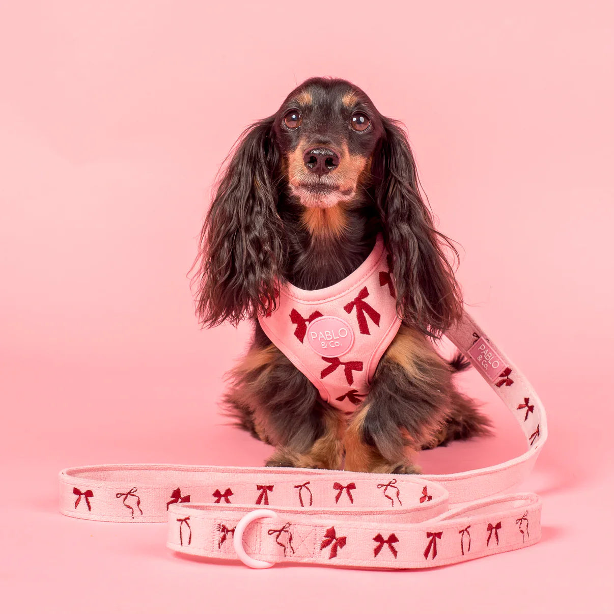 Pink bows dog harness and leash