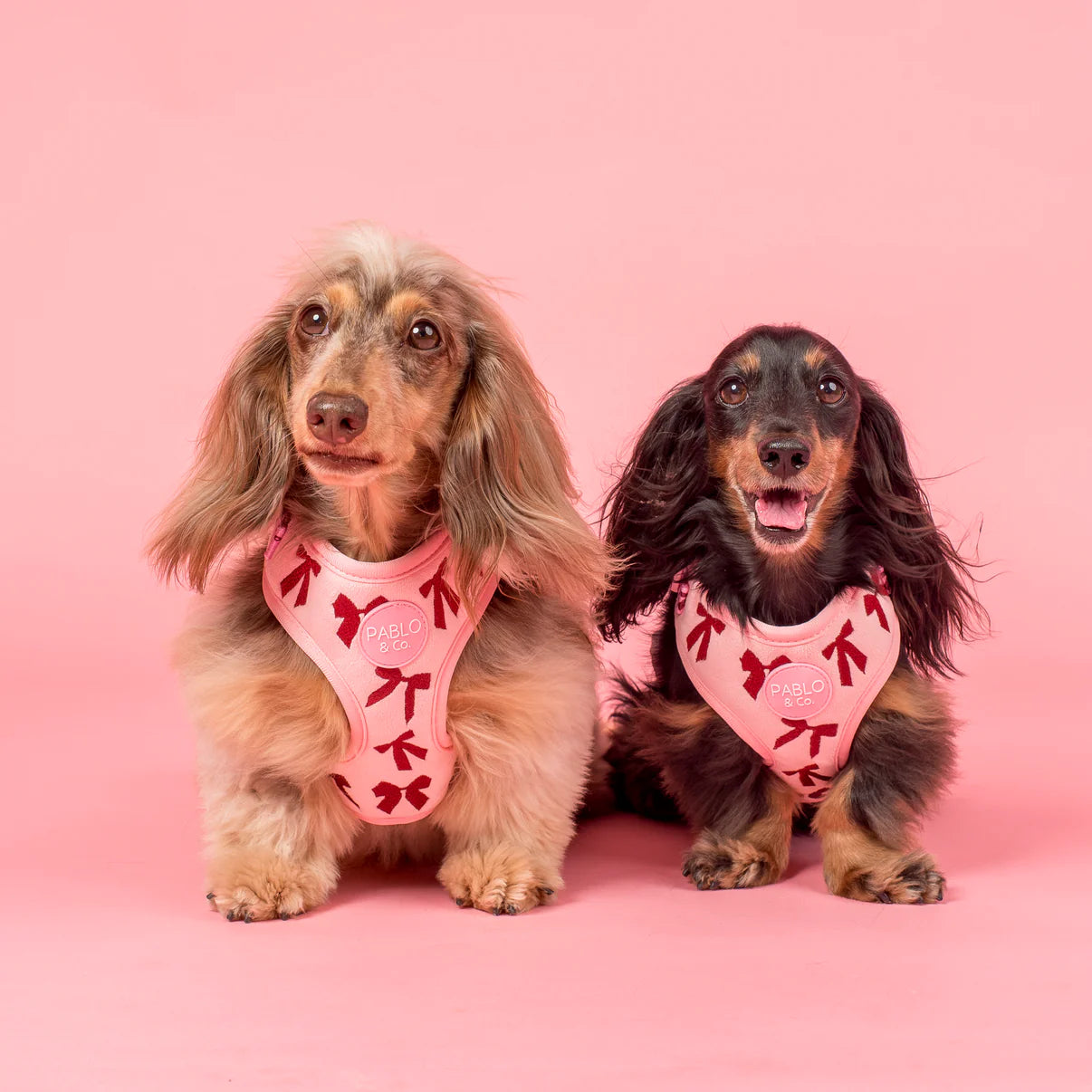 Velvet Blush Bows Adjustable Harness