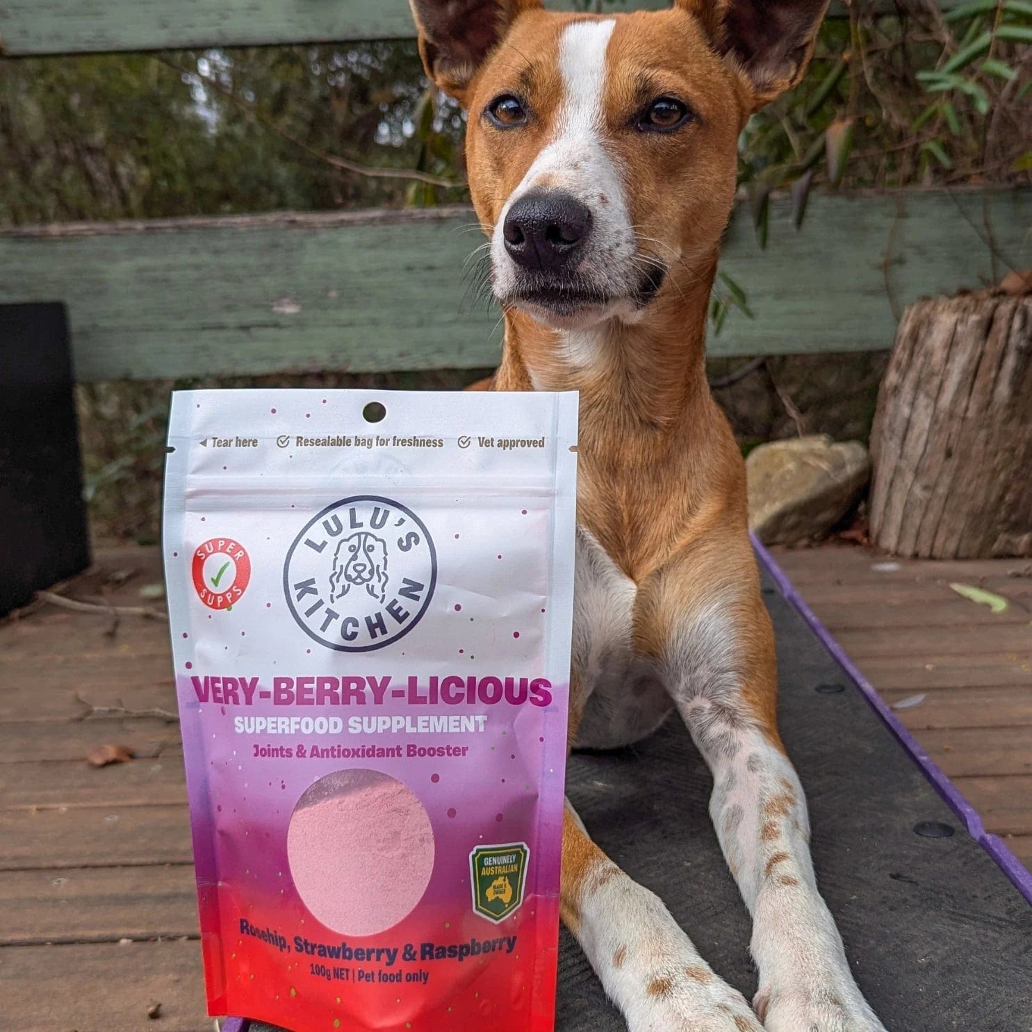 Very Berry-Licious - Joints & Antioxidant Booster Supplement